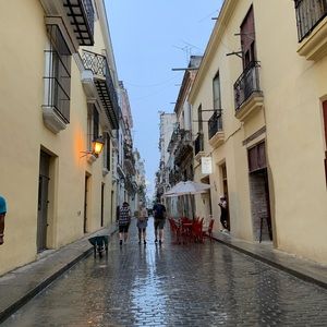 Meet your Posher, Celina